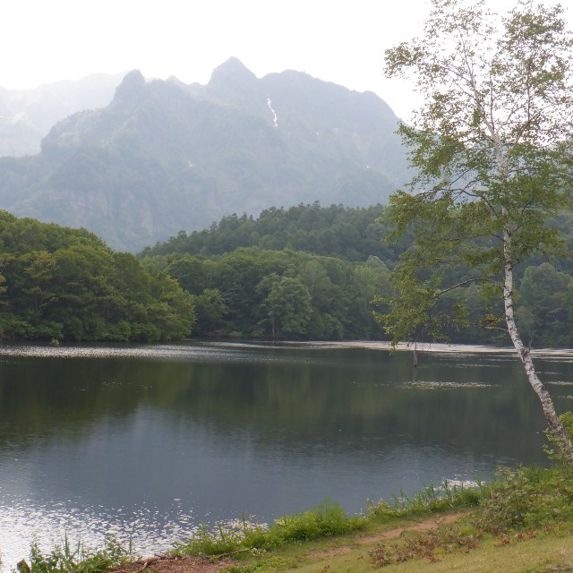 f:id:goodmotion55:20220624234003j:image f:id:goodmotion55:20220624234003j:image