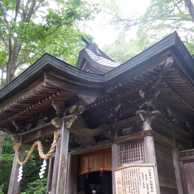 f:id:goodmotion55:20220625103524j:image f:id:goodmotion55:20220625103524j:image