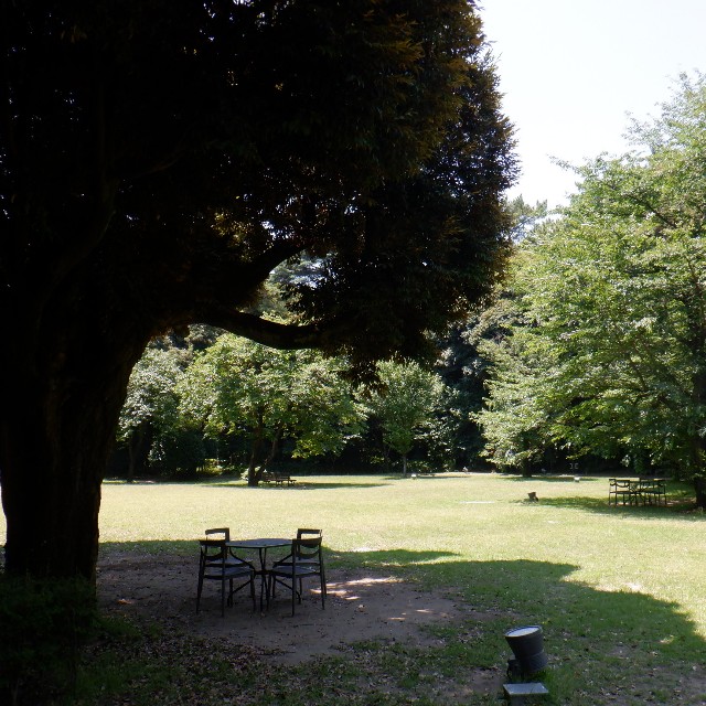 f:id:goodmotion55:20220710101605j:image