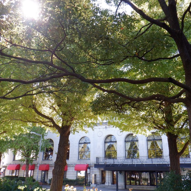 f:id:goodmotion55:20221031121535j:image