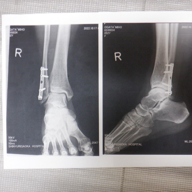 f:id:goodmotion55:20221031121615j:image