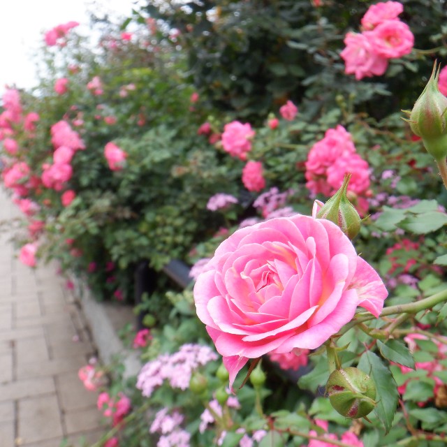 f:id:goodmotion55:20221031123101j:image