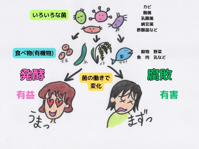 f:id:goodmotion55:20230318002651j:image f:id:goodmotion55:20230318002651j:image