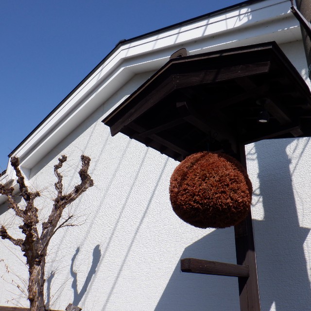 f:id:goodmotion55:20230319120127j:image f:id:goodmotion55:20230319120127j:image