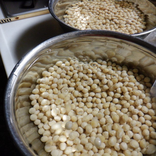 f:id:goodmotion55:20230319120201j:image f:id:goodmotion55:20230319120201j:image