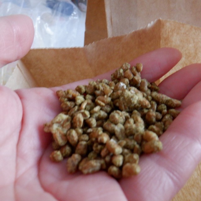 f:id:goodmotion55:20230319120449j:image f:id:goodmotion55:20230319120449j:image