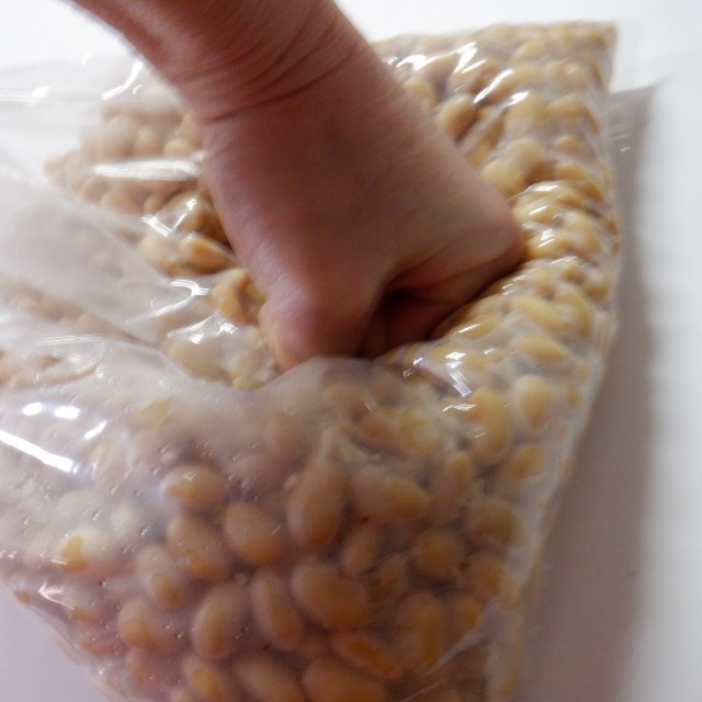 f:id:goodmotion55:20230319120727j:image f:id:goodmotion55:20230319120727j:image