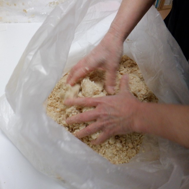 f:id:goodmotion55:20230319120802j:image f:id:goodmotion55:20230319120802j:image