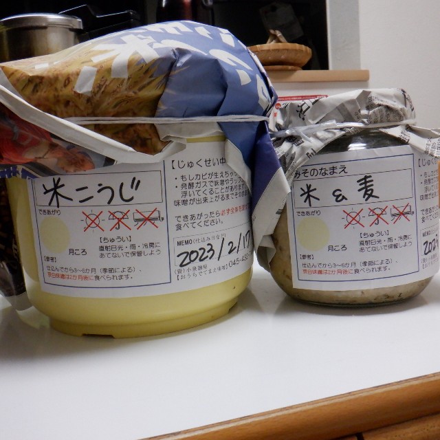 f:id:goodmotion55:20230319121049j:image f:id:goodmotion55:20230319121049j:image