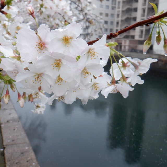 f:id:goodmotion55:20230325121828j:image