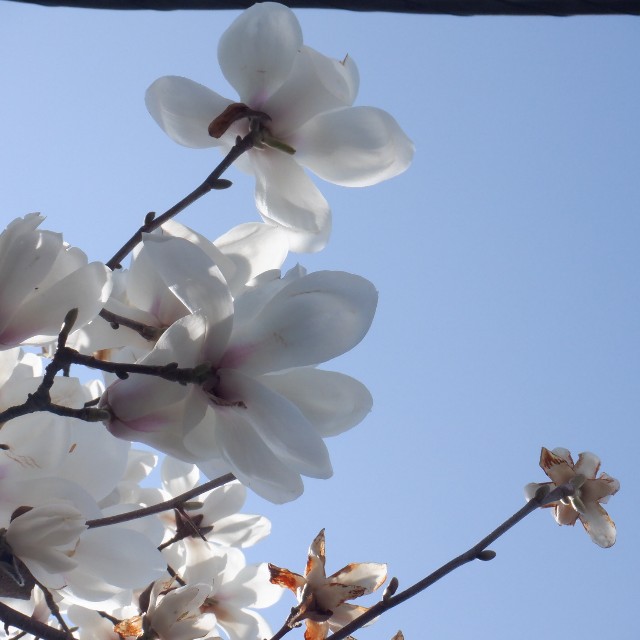 f:id:goodmotion55:20230325121903j:image