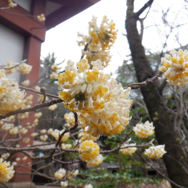 f:id:goodmotion55:20230325122022j:image