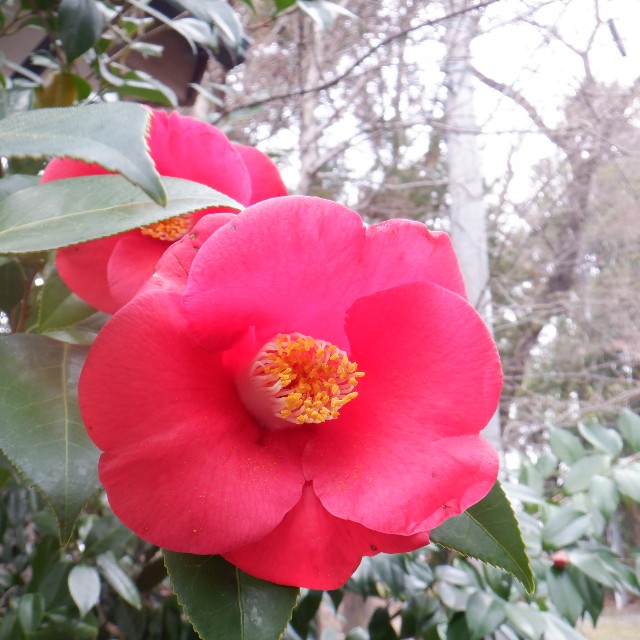 f:id:goodmotion55:20230405215821j:image