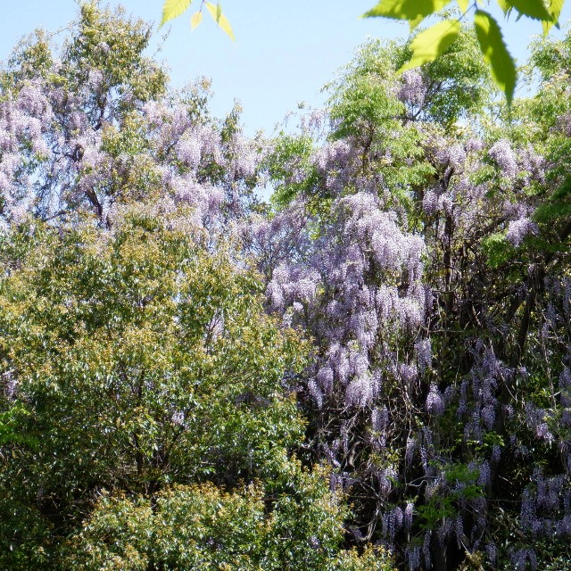 f:id:goodmotion55:20230501215409j:image