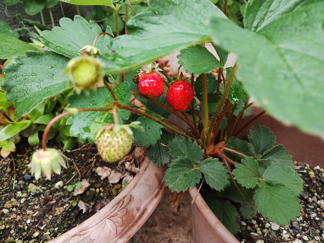 f:id:goodmotion55:20230501215807j:image