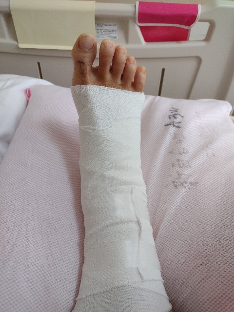 f:id:goodmotion55:20230521230527j:image