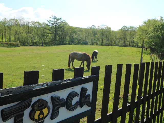 f:id:goodmotion55:20230616080259j:image