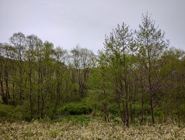 f:id:goodmotion55:20230616132117j:image