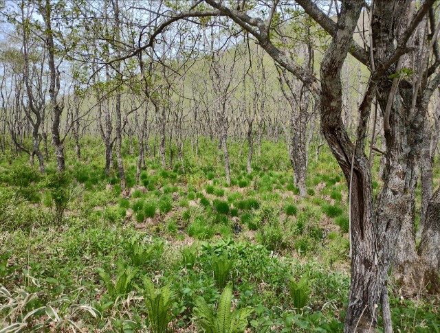 f:id:goodmotion55:20230616133237j:image