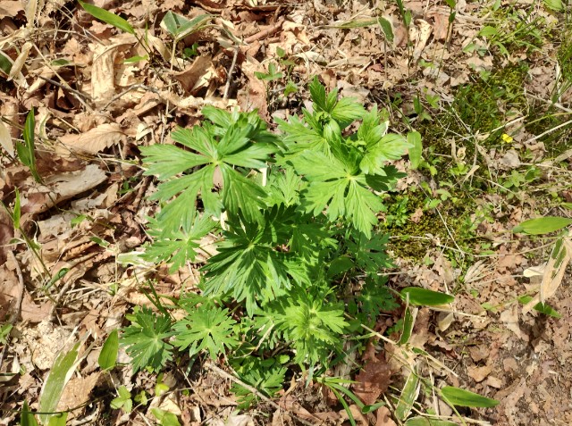 f:id:goodmotion55:20230616133245j:image