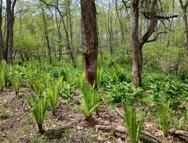 f:id:goodmotion55:20230616133308j:image