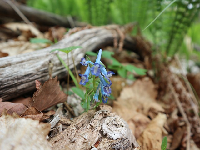 f:id:goodmotion55:20230616142605j:image