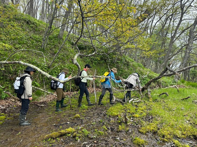 f:id:goodmotion55:20230616155332j:image