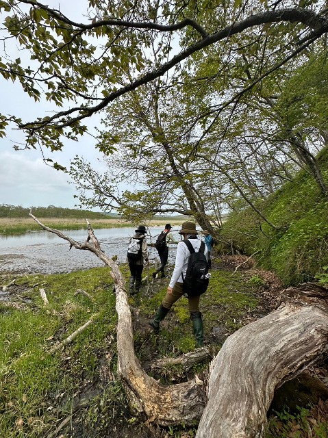 f:id:goodmotion55:20230616155348j:image