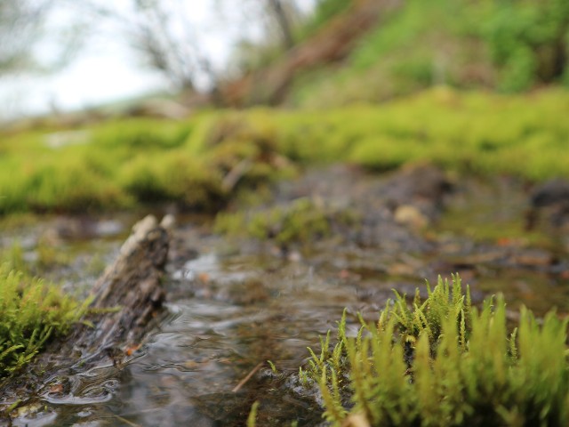 f:id:goodmotion55:20230616155422j:image