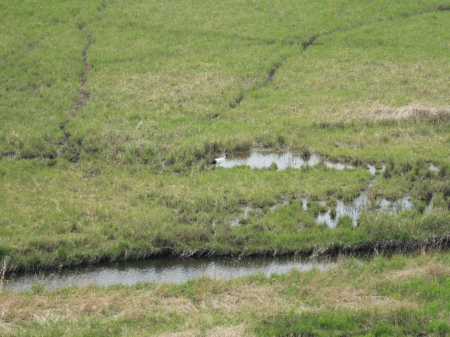 f:id:goodmotion55:20230616155450j:image