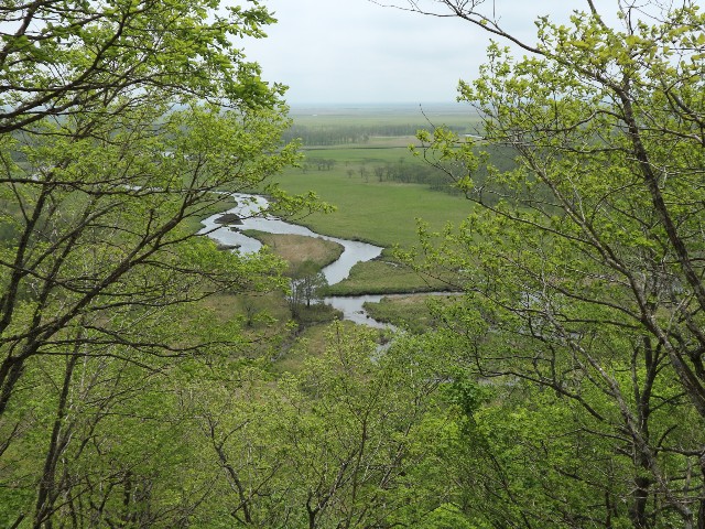 f:id:goodmotion55:20230616155501j:image