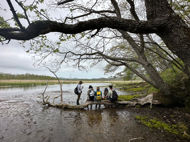 f:id:goodmotion55:20230616155648j:image