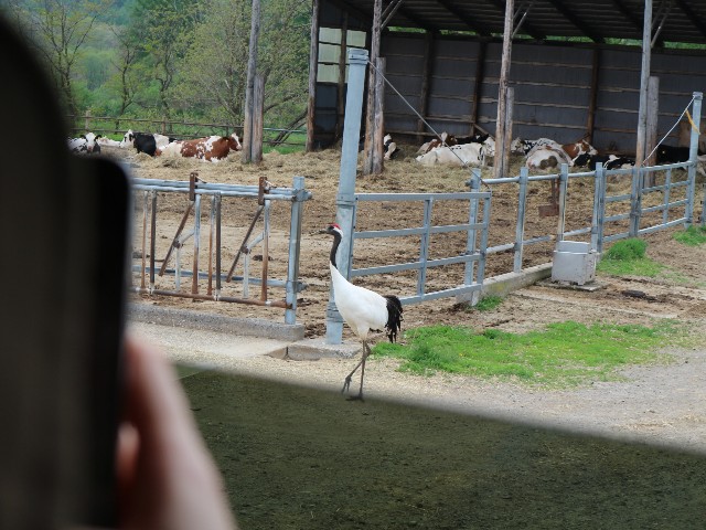 f:id:goodmotion55:20230616193048j:image