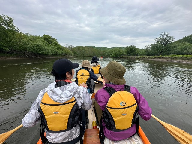 f:id:goodmotion55:20230616223758j:image