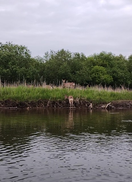 f:id:goodmotion55:20230616224538j:image