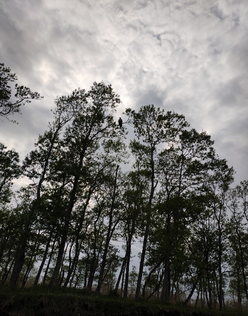 f:id:goodmotion55:20230616224553j:image