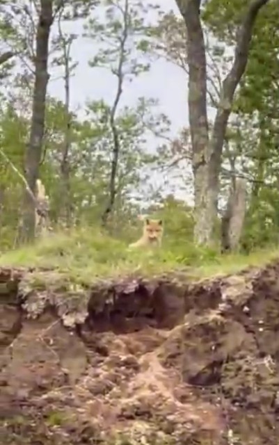 f:id:goodmotion55:20230616224603j:image