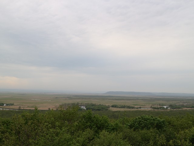 f:id:goodmotion55:20230617090531j:image