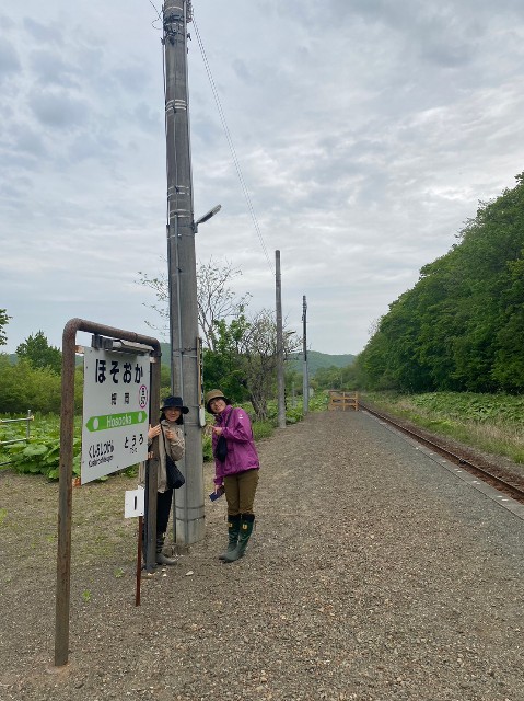 f:id:goodmotion55:20230617090920j:image