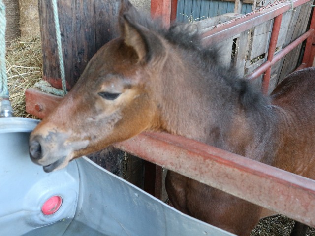 f:id:goodmotion55:20230618123150j:image