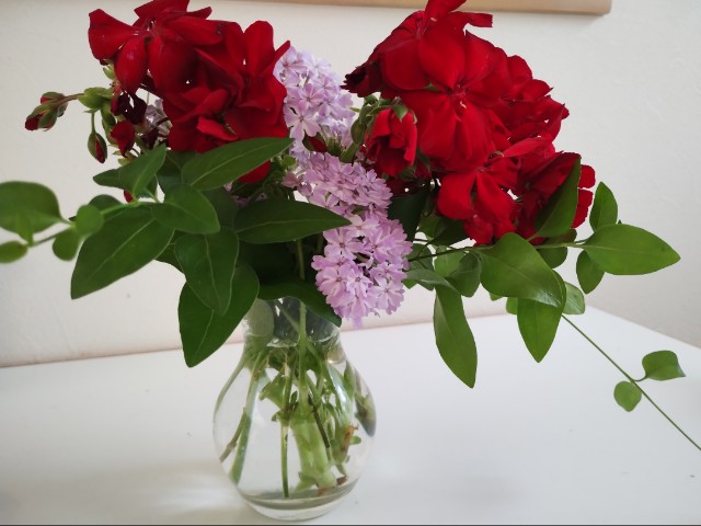 f:id:goodmotion55:20230622184645j:image