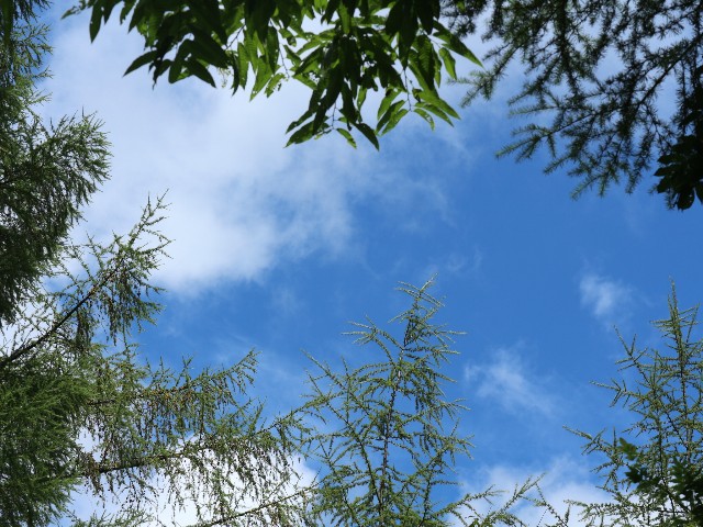 f:id:goodmotion55:20230810141940j:image f:id:goodmotion55:20230810141940j:image