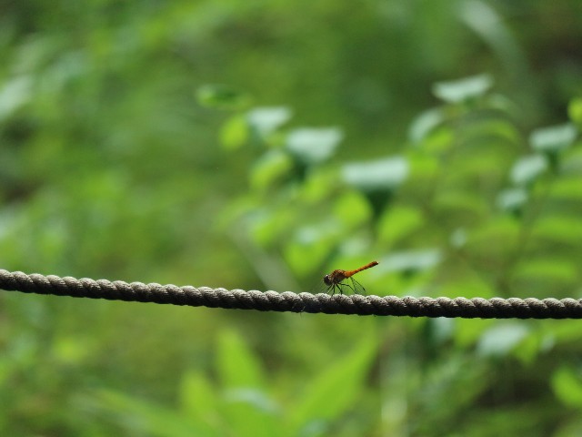 f:id:goodmotion55:20230810232554j:image f:id:goodmotion55:20230810232554j:image