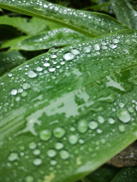 f:id:goodmotion55:20230810232754j:image f:id:goodmotion55:20230810232754j:image