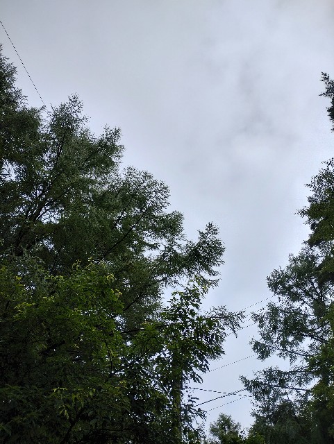 f:id:goodmotion55:20230810232841j:image f:id:goodmotion55:20230810232841j:image