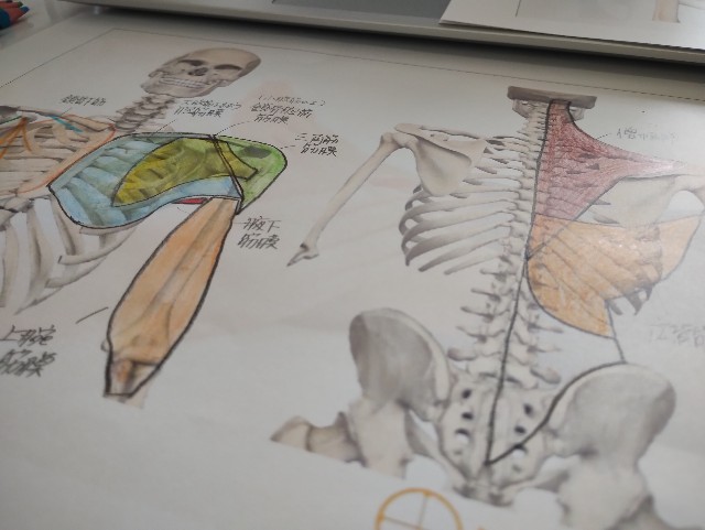 f:id:goodmotion55:20230812210013j:image f:id:goodmotion55:20230812210013j:image