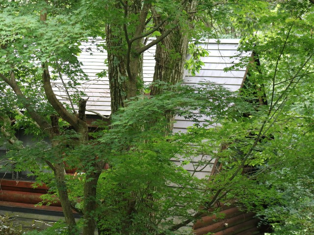 f:id:goodmotion55:20230818063632j:image f:id:goodmotion55:20230818063632j:image