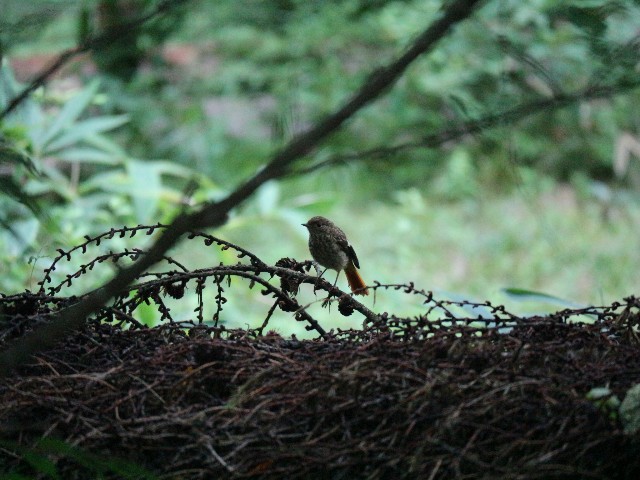 f:id:goodmotion55:20230818072127j:image f:id:goodmotion55:20230818072127j:image