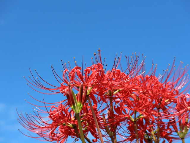 f:id:goodmotion55:20231001164829j:image