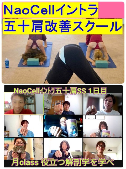 f:id:goodmotion55:20231016141610j:image f:id:goodmotion55:20231016141610j:image